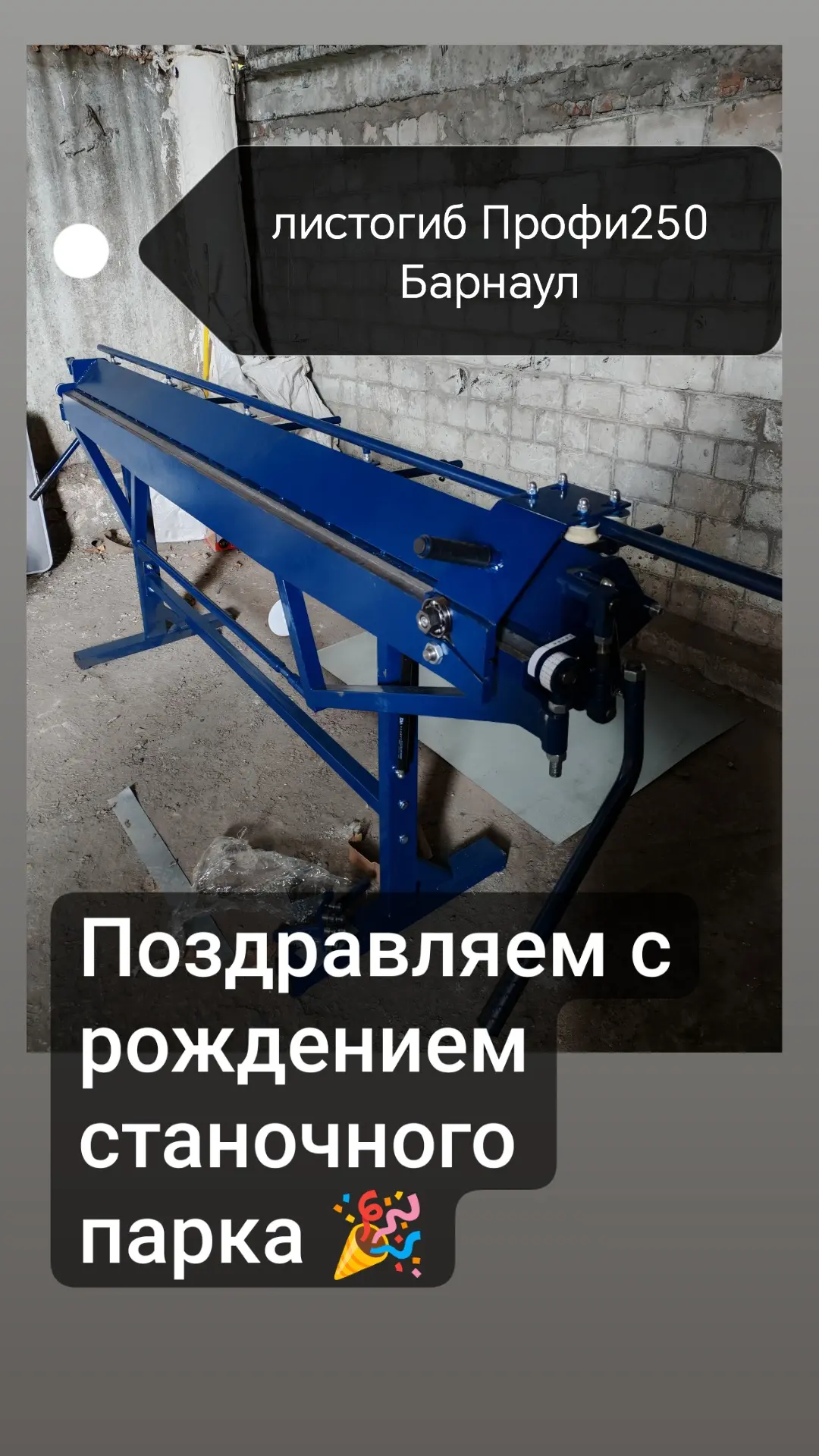 Листогиб Профи250
