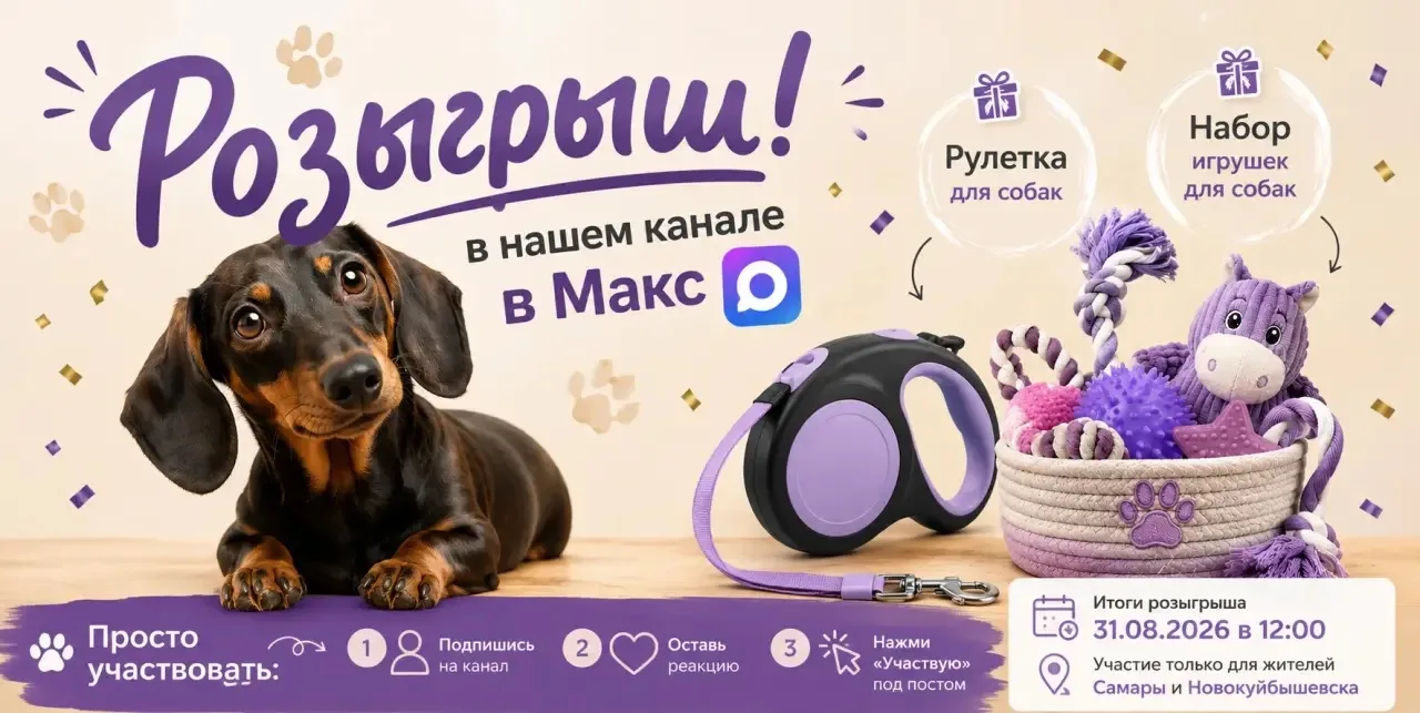 🎁 РОЗЫГРЫШ ДЛЯ СОБАК И ИХ ЛЮБИМЫХ ХОЗЯЕВ! 🐶