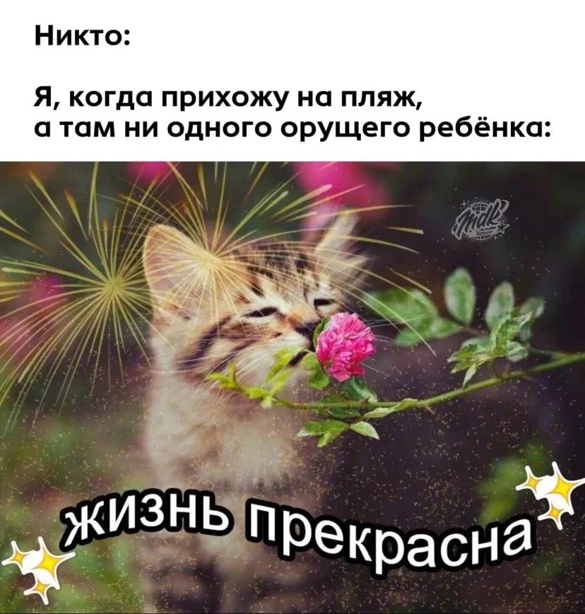 И сразу на душе так тепло…