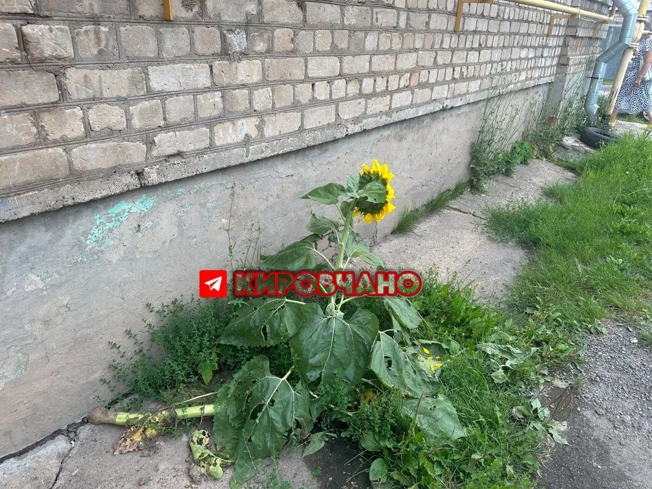 Слободской.