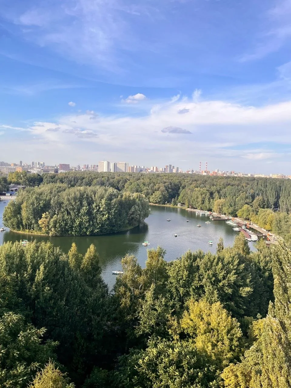 Лесные просторы в Измайлово 🌿