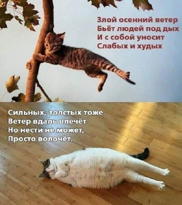 Октябрь он такой))