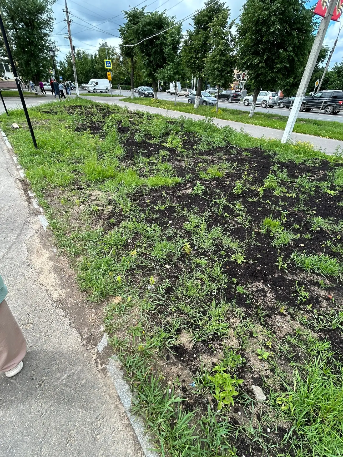добрый день обращаюсь к организации по озеленению города на против фонтана кусок земли ...