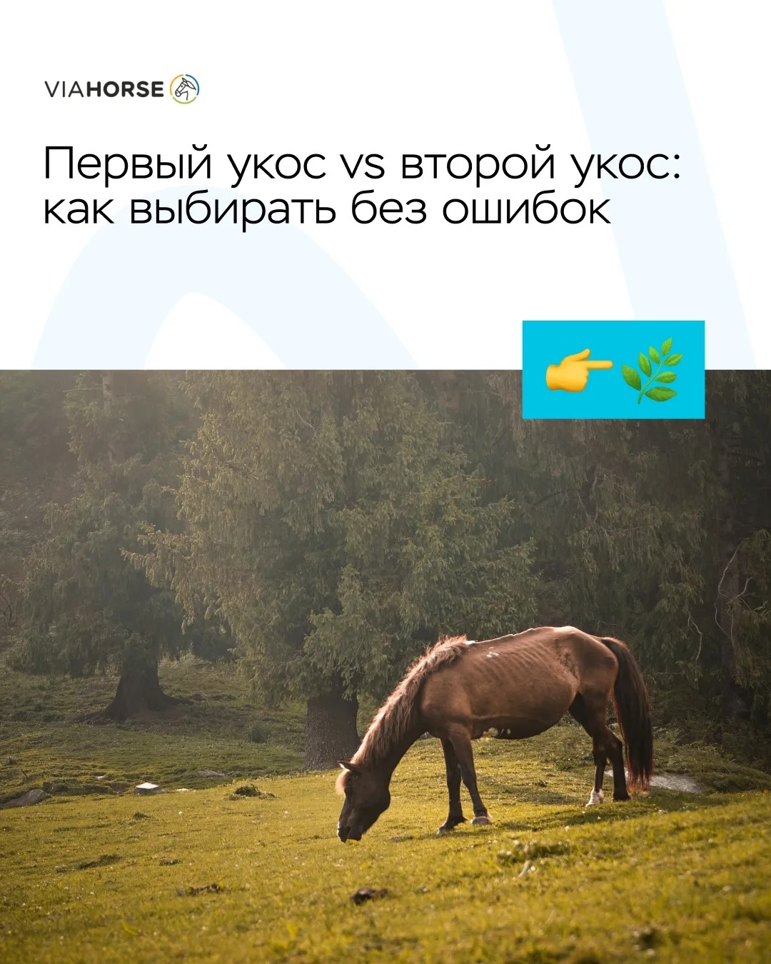 Первый укос vs второй укос: как выбирать без ошибок