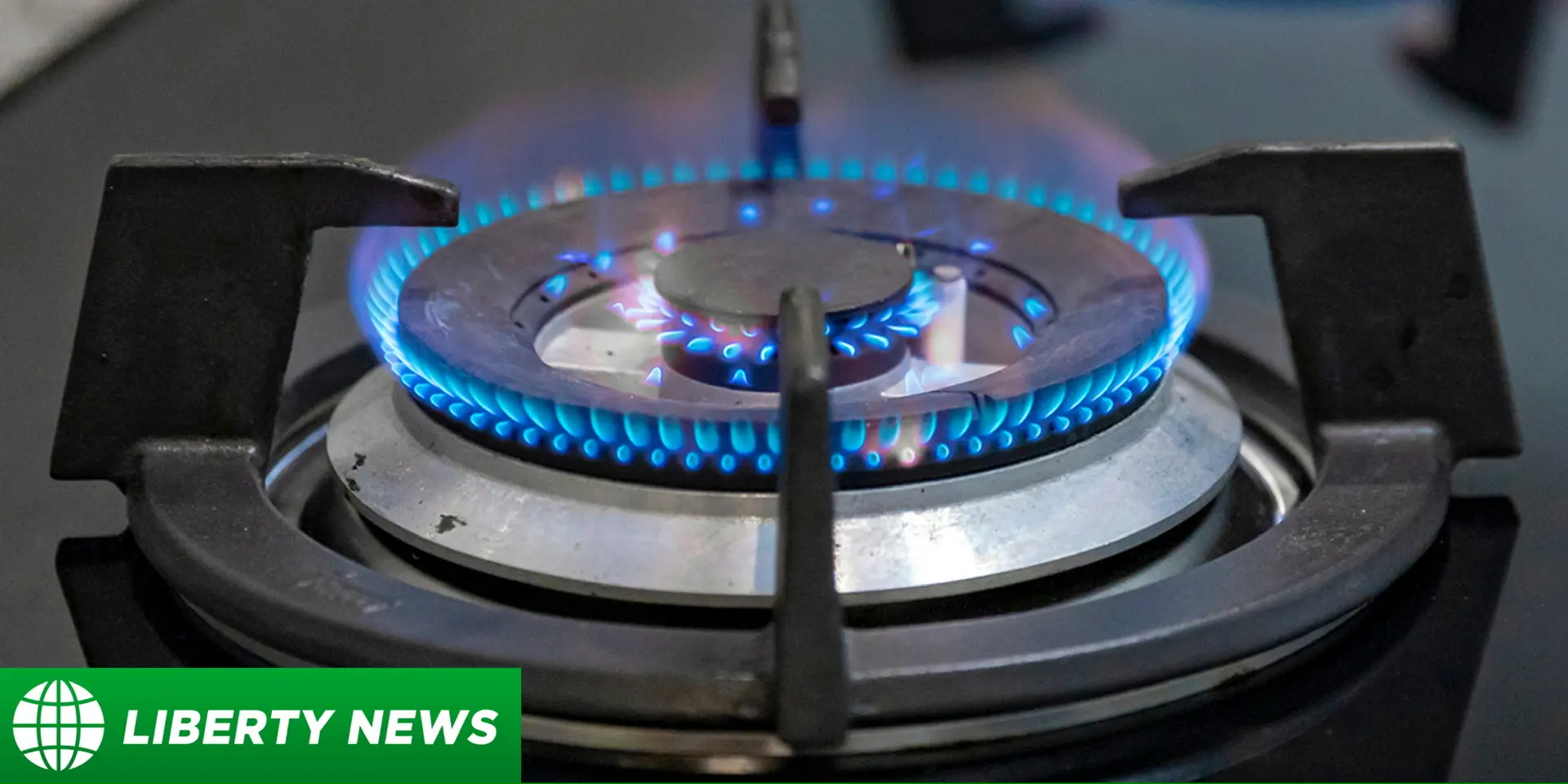 Специалисты газовой службы начиная с марта 2026 года получат право отключать газоснабжение в случае,