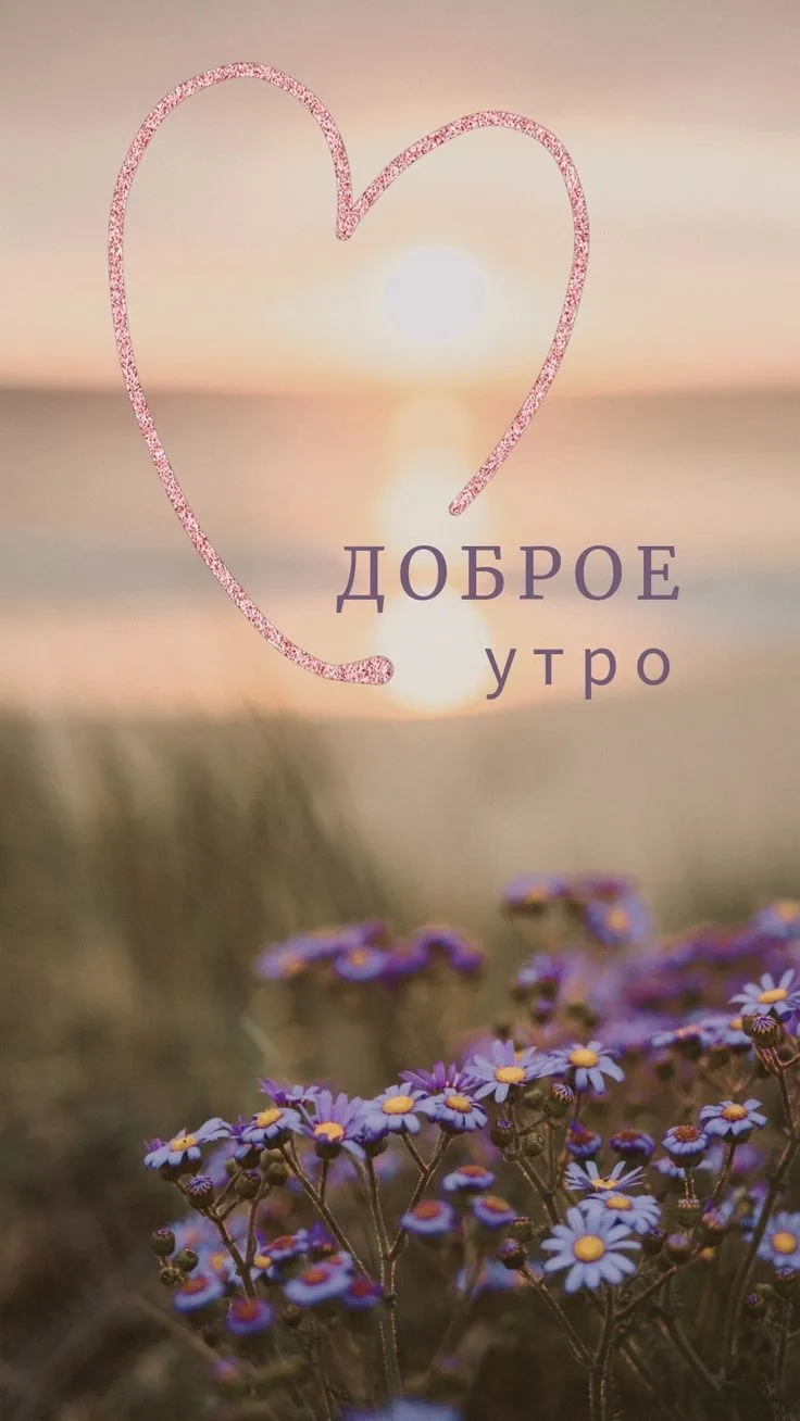 🌤 Доброе утро, Солнечногорск!