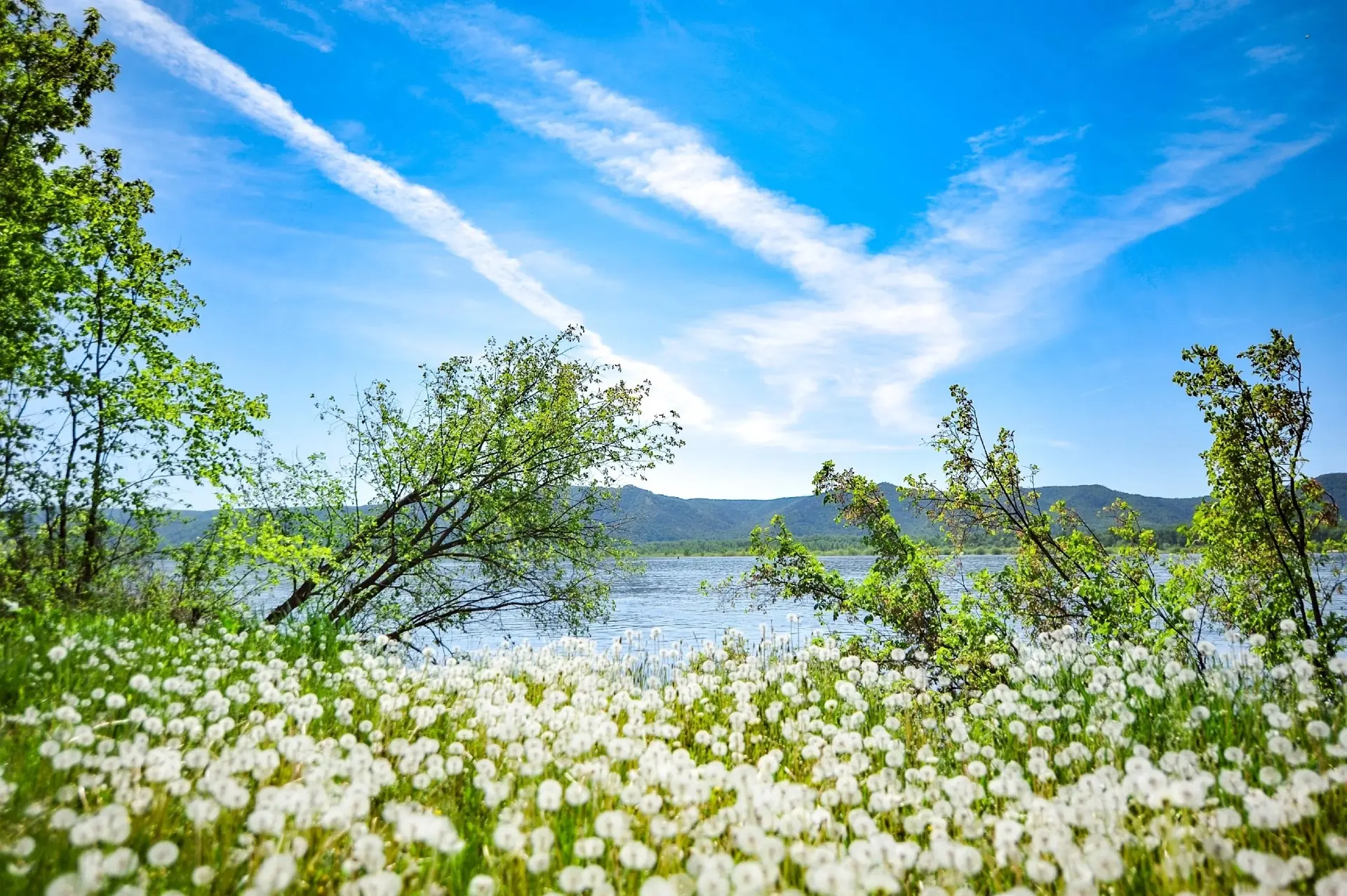 Фёдоровские луга ❤

📍53.467481, 49.729776

Фото: Кому на Волге