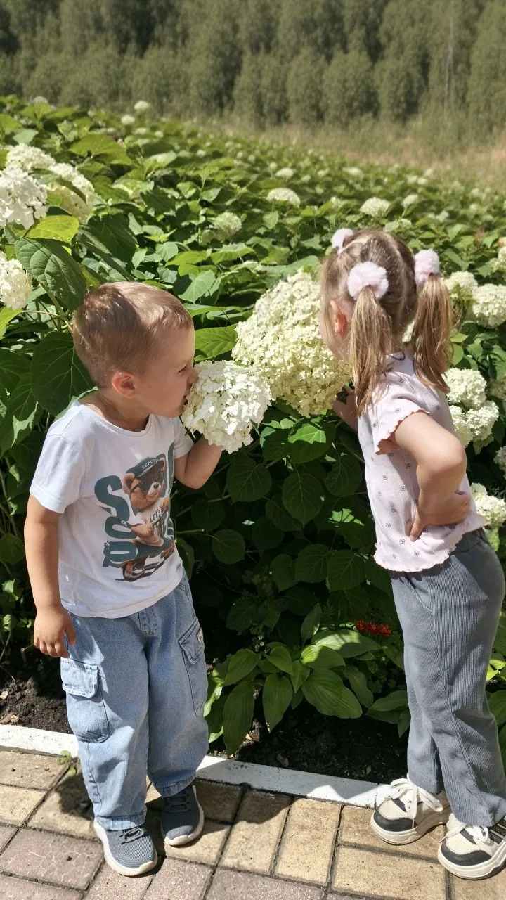 Как прекрасна природа нашего края летом!Вчера мы наблюдали за цветами, деревьями, слуша...