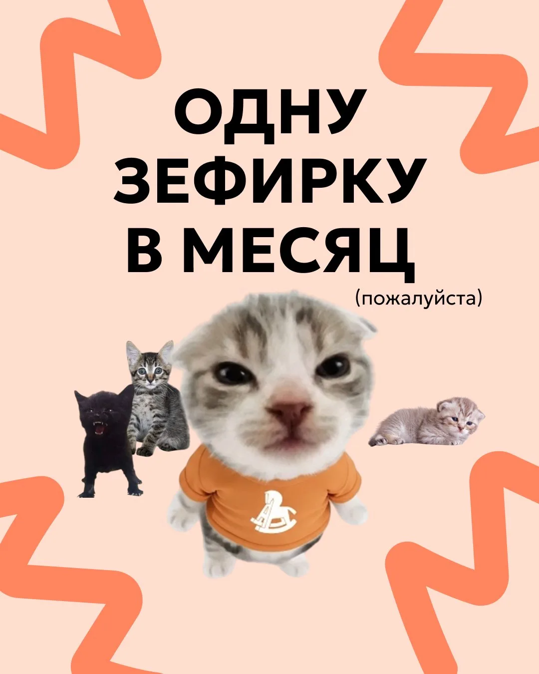 Когда поддержка не зависит от настроения и бюджета
