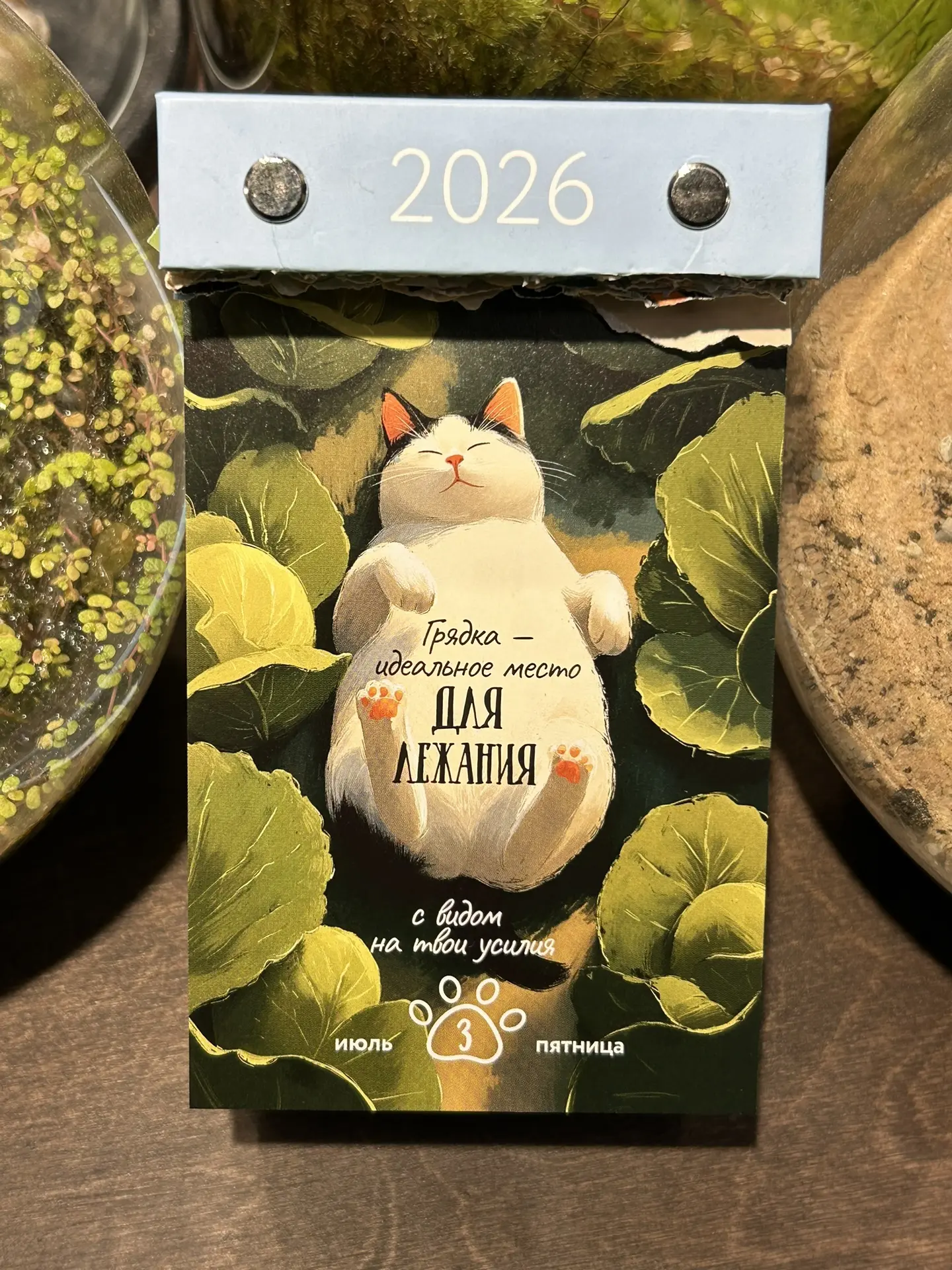 Всем доброго утра и хорошего дня ☀️🫶🌿