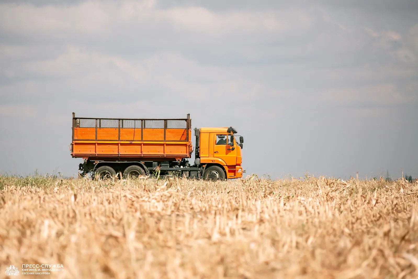 🌽 На опытных полях Агротехнологической академии разворачивается кампания по уборке кор...