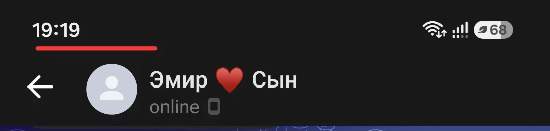 Общаясь с сыном переписками и голосовыми по телефону, я заметила зеркальное время 19:19...