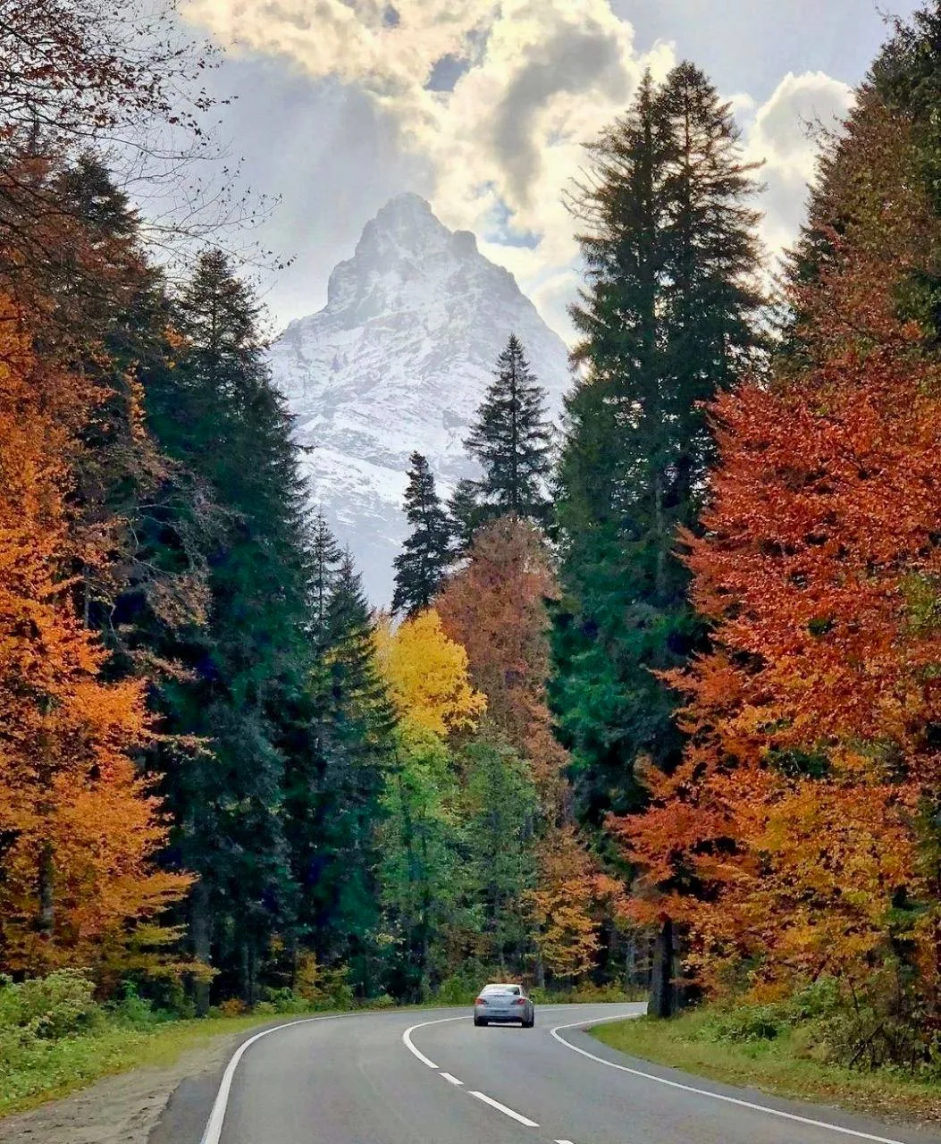Осенняя сказка в Домбае 🍂 с «Ткаченко Трэвел».