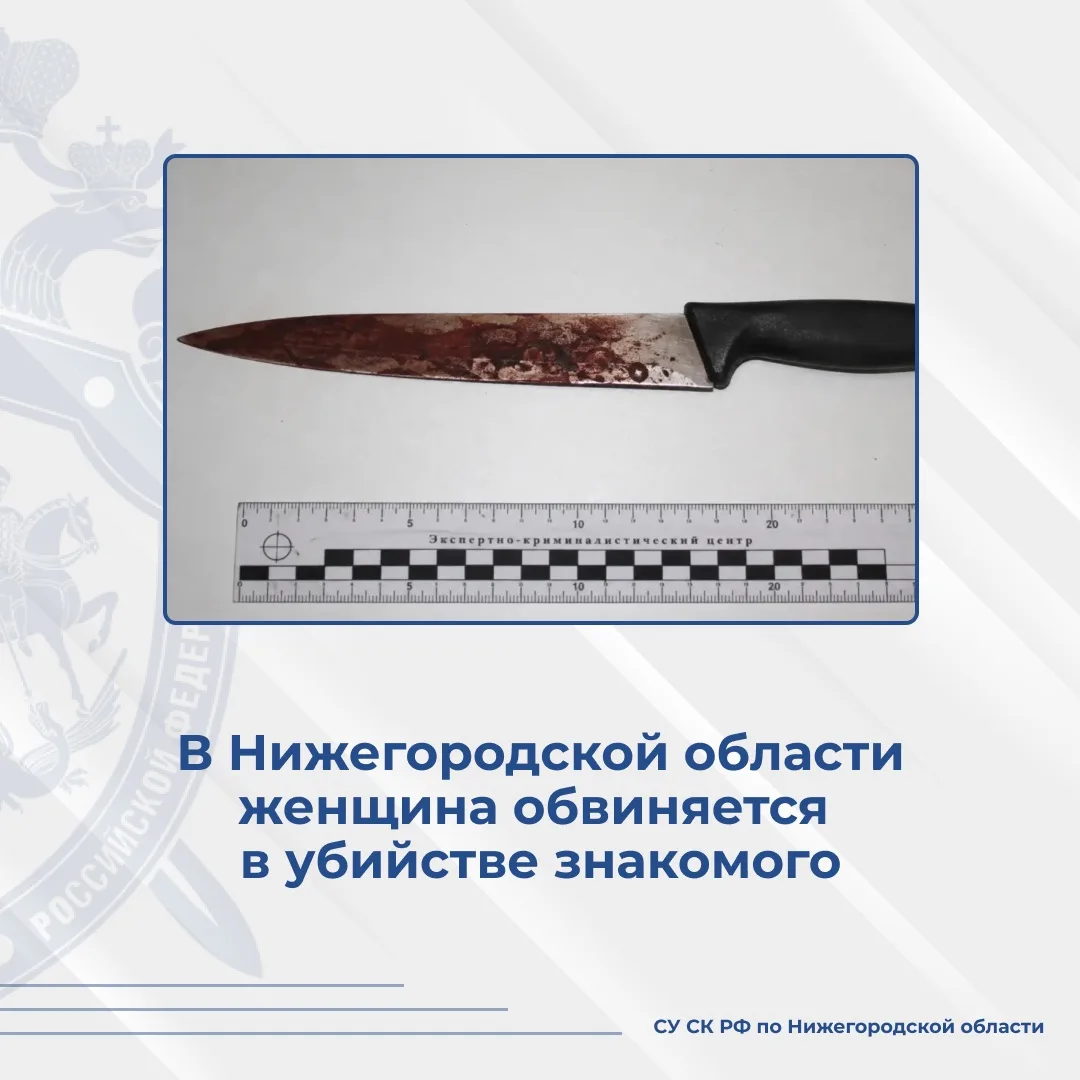 В городе Сарове женщина обвиняется в убийстве знакомого