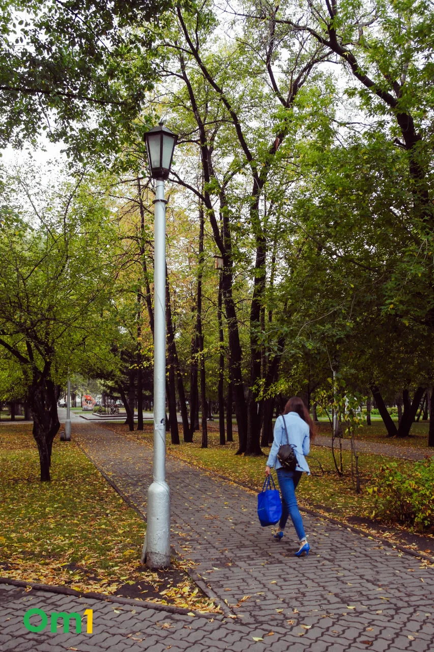 🌧 Тепло уходит стремительно: к среде в Новосибирске будет всего +6°C