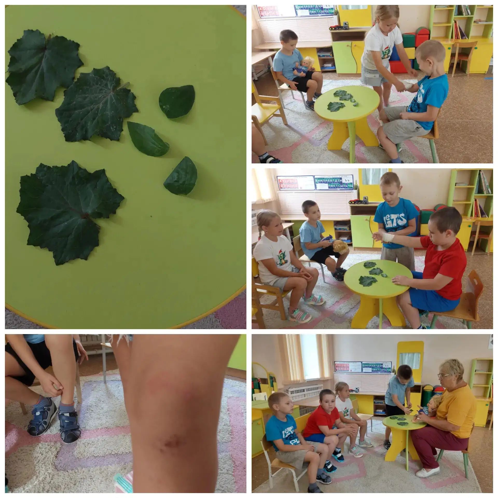 🌿 День лекарственных растений в нашем саду! 🌿Сегодня мы с ребятами превратились в нас...