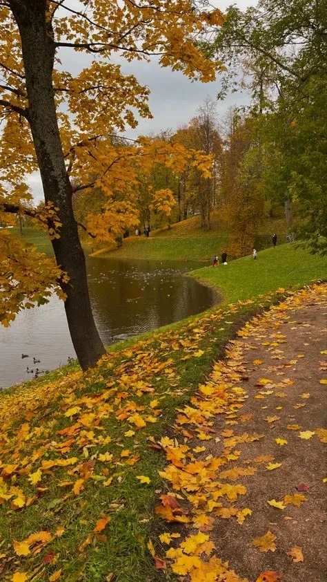 Уважаемые коллеги, освободилось одно место в супервизорской группе "Осень": https://gav...