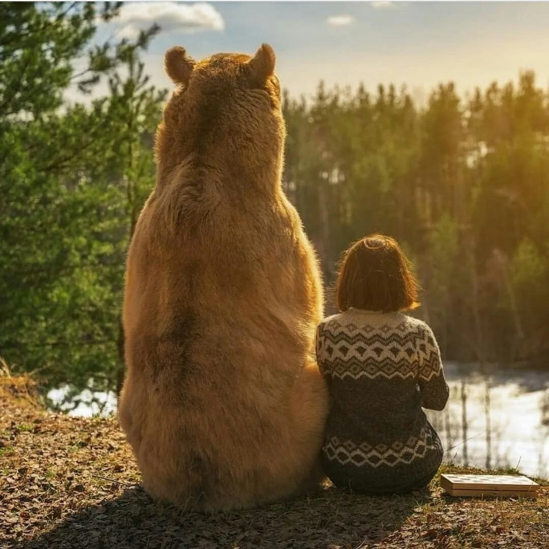 Дружба )
