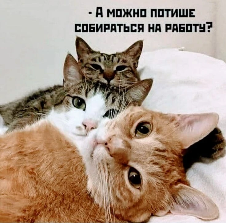 #юмор