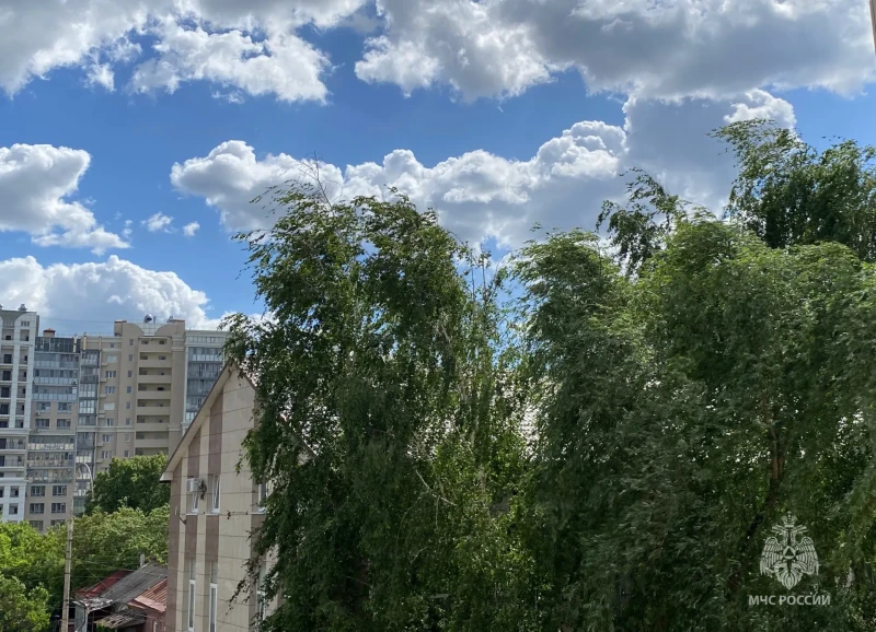 Доброе утро!

15 июня в регионе ожидается облачная с прояснениями погода . Днем кратковременные дожд
