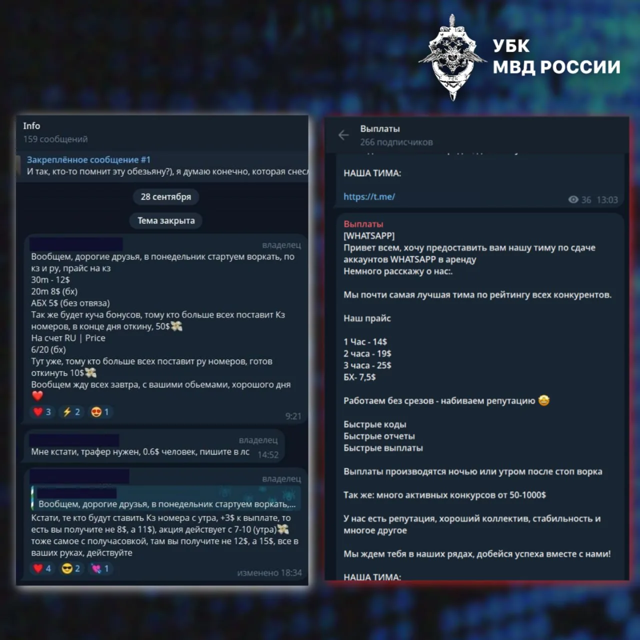 Изображение 2 к публикации «Вестник Киберполиции России»