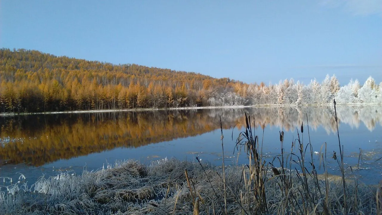 В Шелопугинском районе сейчас невероятная красота, как в сказке.
