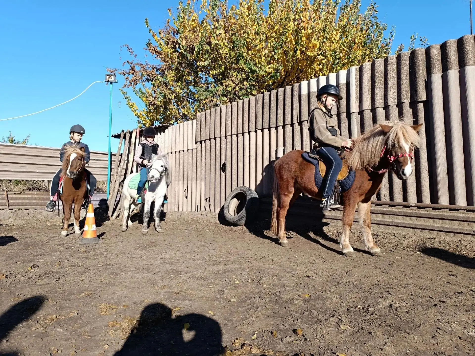 Приглашаем на мероприятие в рамках муниципального проекта "Народный тренер" 🐎 Знакомст...