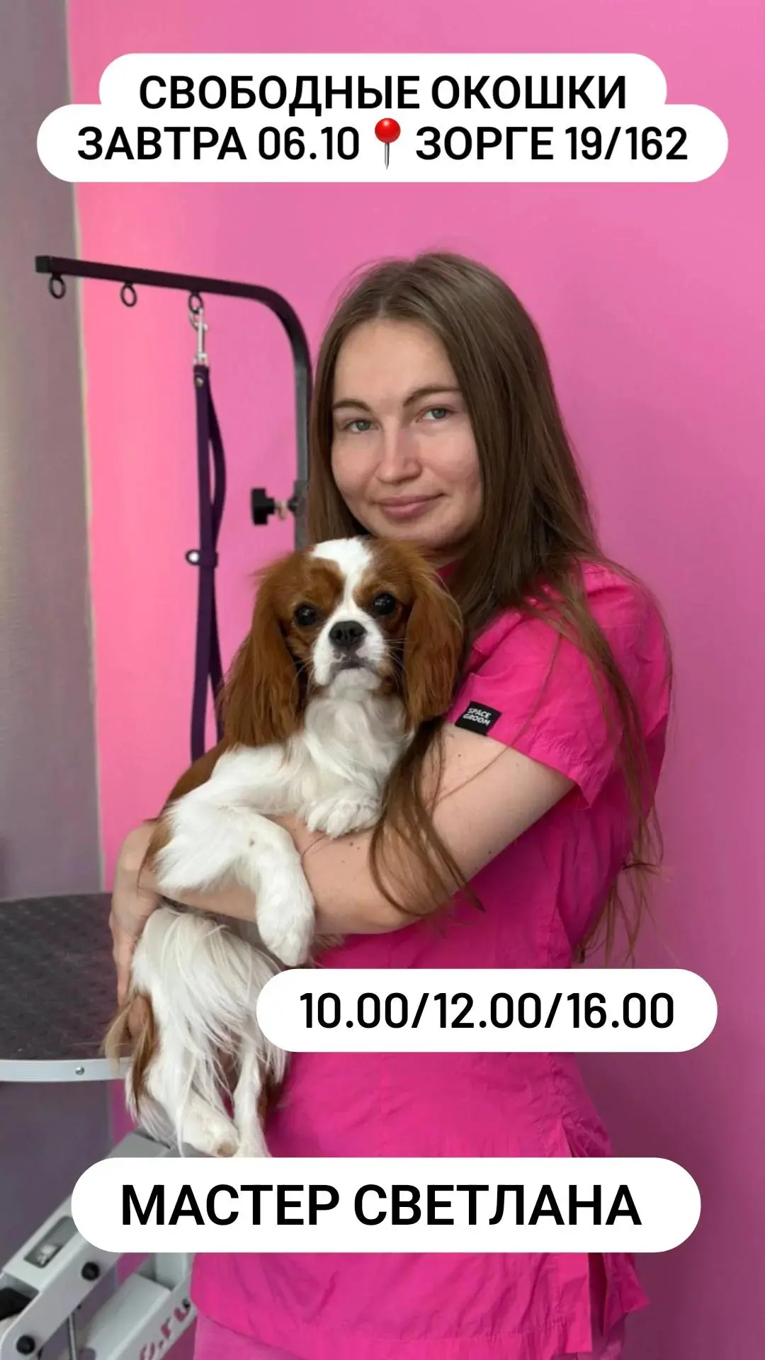 Свободные окошки на филиале Зорге на завтра🐶🐾