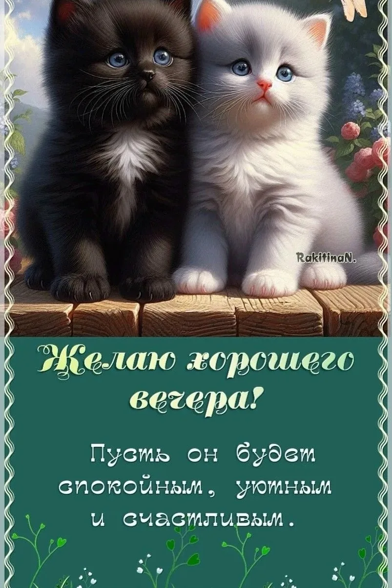 Хорошего вечера и доброй ночи!