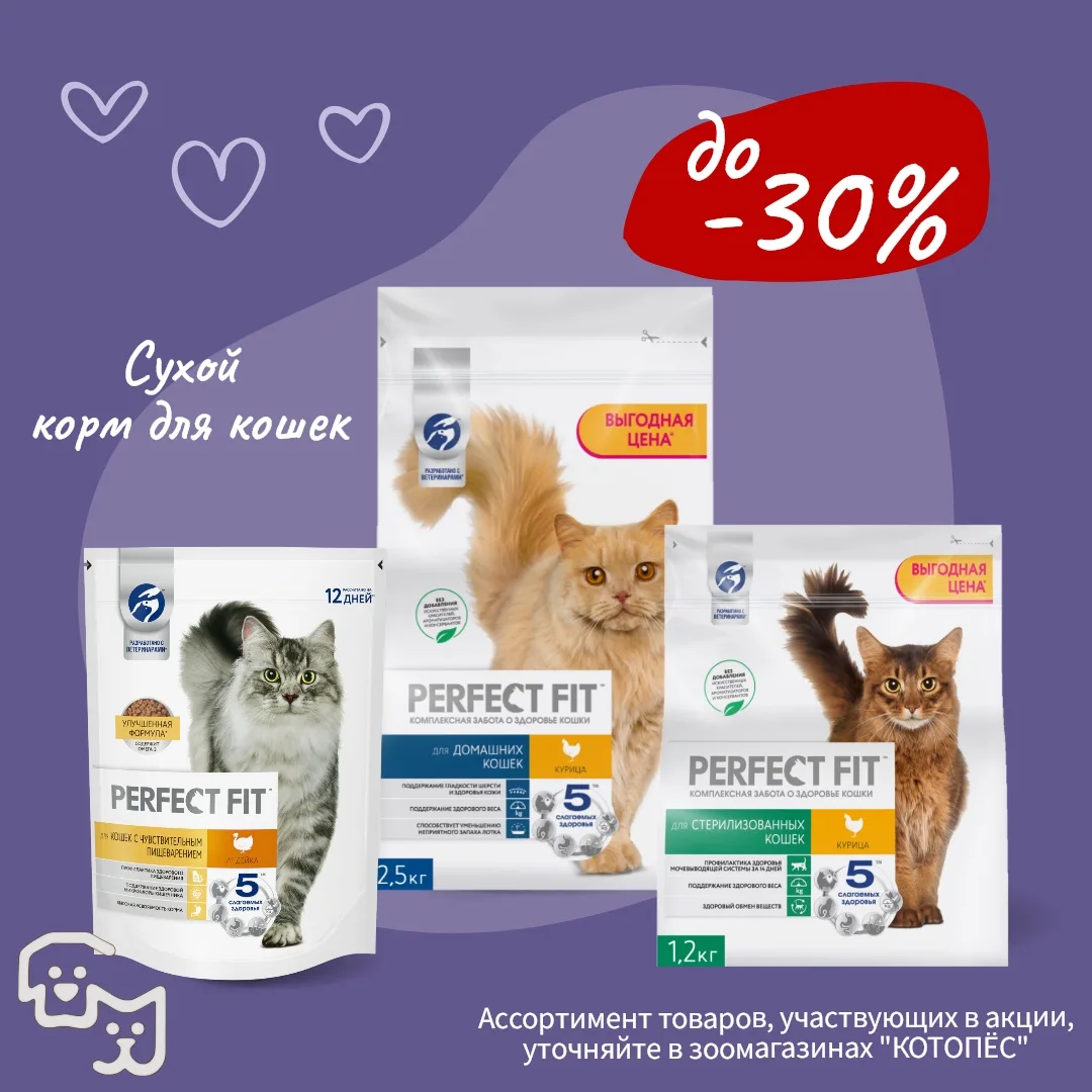📢 Акции❗️Сухой корм для кошек и собак Perfect Fit со скидками до -30%🔥,