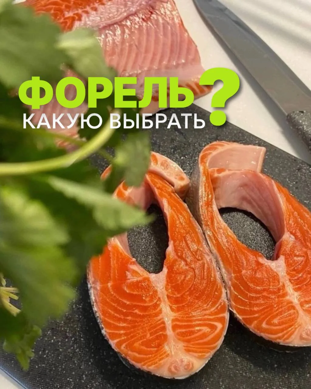 🐟На 25 июня мы собрали, пожалуй, самый большой выбор форели за последнее время ❤️

🏔 Форель из Осе