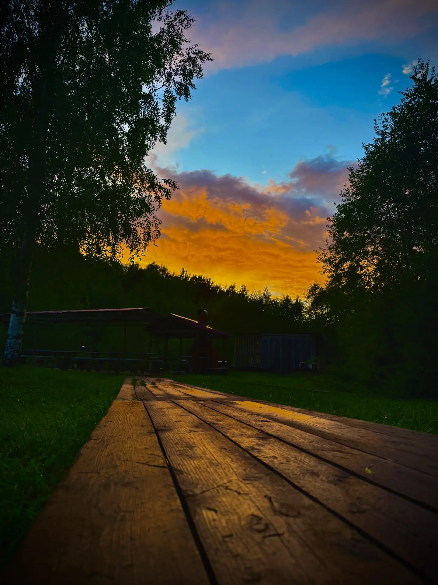 Доброе утро, дорогие подписчики!