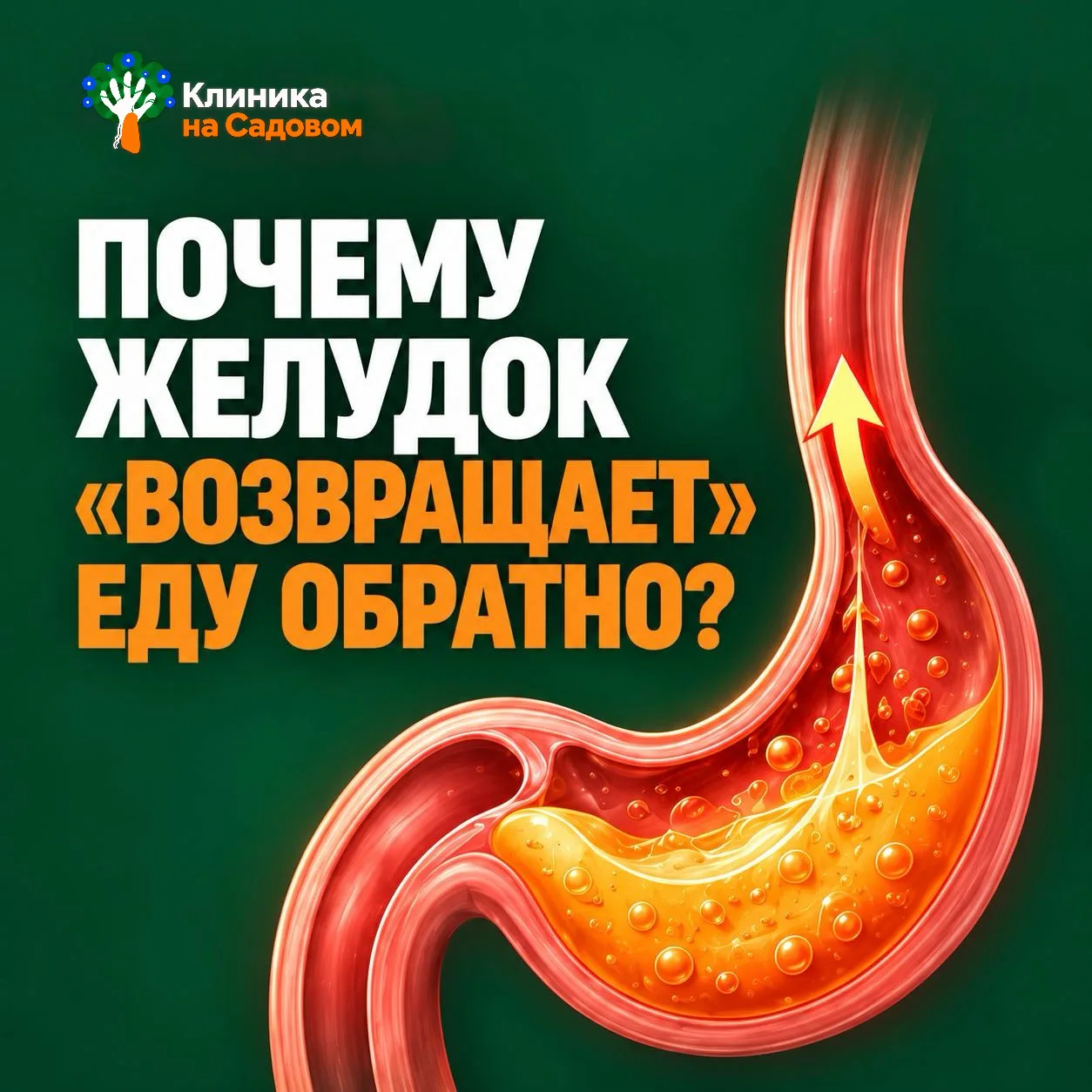 Поужинали, легли отдыхать, и тут ОНА - изжога...🔥