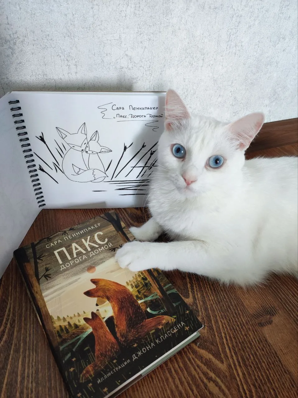 ❤️Пакс. Дорога домой
