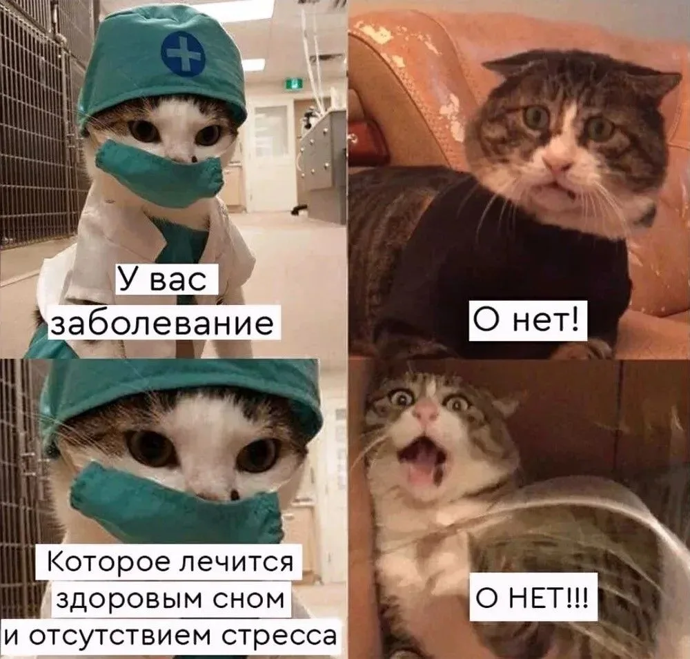 Челябинские врачи назвали 7 главных советов, которые пациенты чаще всего игнорируют. А ...