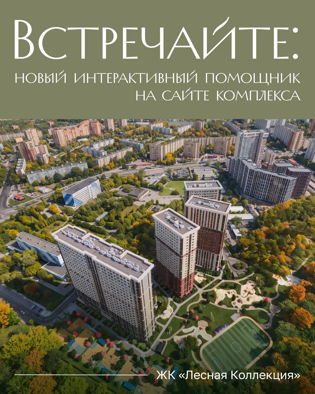 Начните знакомство с «Лесной Коллекцией» в новом формате.