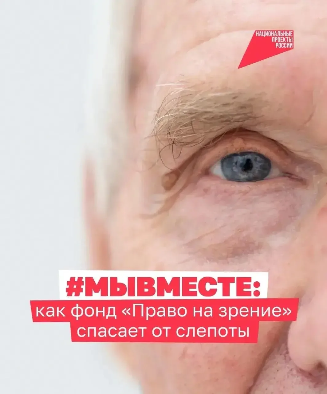 Они дарят людям возможность видеть ❤️

С возрастом зрение часто ухудшается, из-за чего становится тр