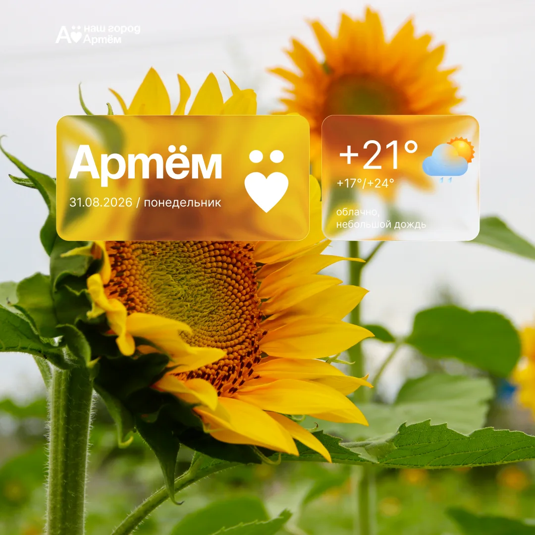 Доброе утро, Артём!