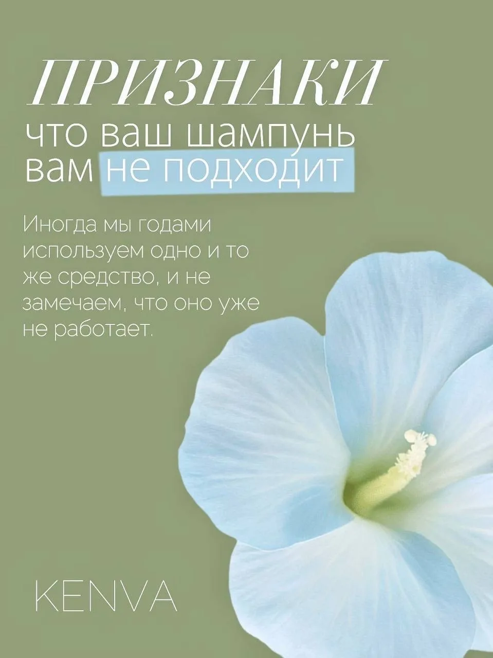 🧴ПРИЗНАКИ, УКАЗЫВАЮЩИЕ НА ТО ЧТО ШАМПУНЬ ВАМ НЕ ПОДХОДИТ  Шампунь — это фундамент ухода. Если он под