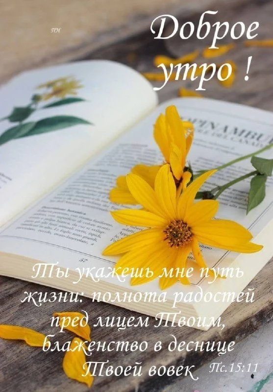 ❤️❤️❤️❤️Открытки❤️❤️❤️❤️