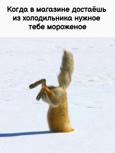 Приколы