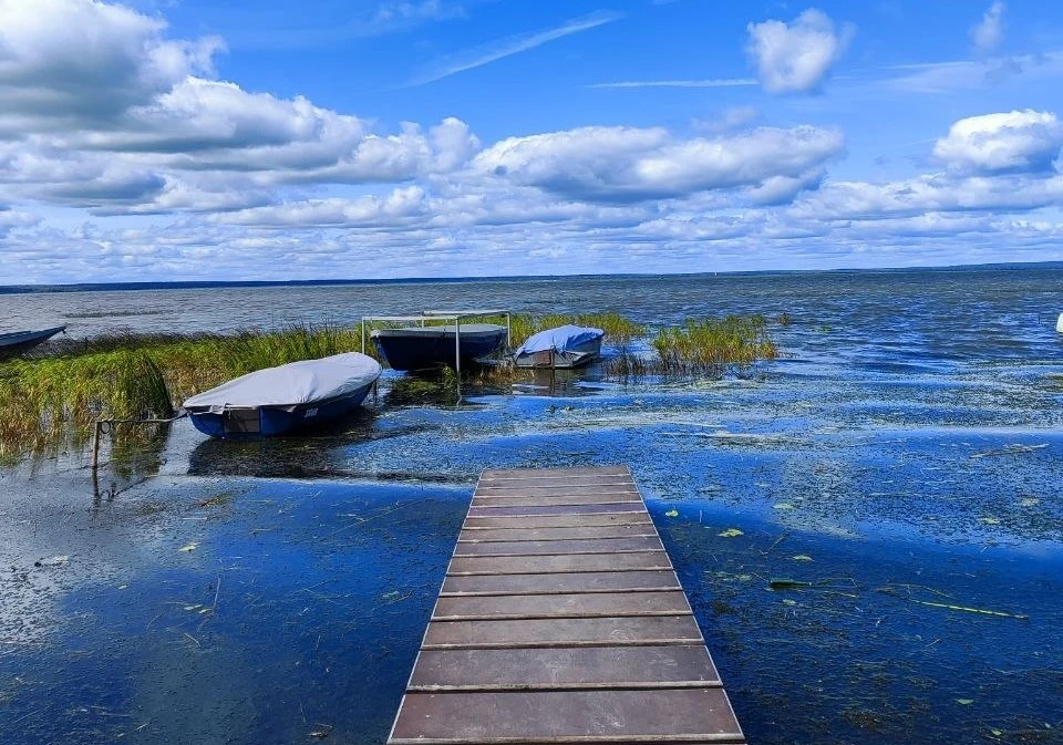🛖 В Санкт-Петербурге построят этнопарк народов России
 
Он появится на берегу Финского залива в Стр