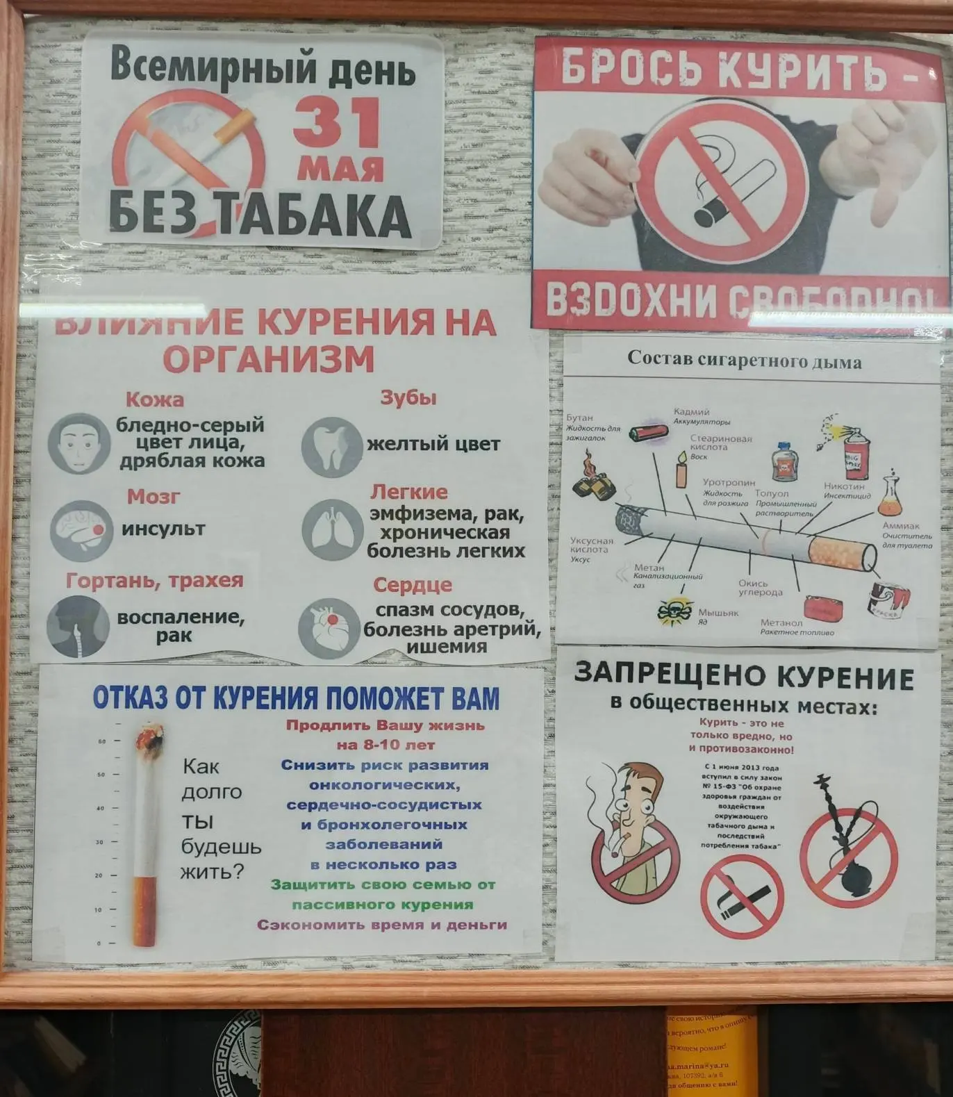 31 мая отмечается Всемирный день без табака — международная акция, направленная на прив...