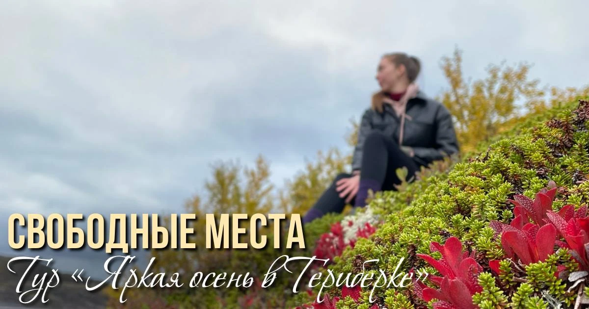 Тур «Яркая осень в Териберке»

11-13 сентября - 8 мест
18-20 сентября - 6 мест