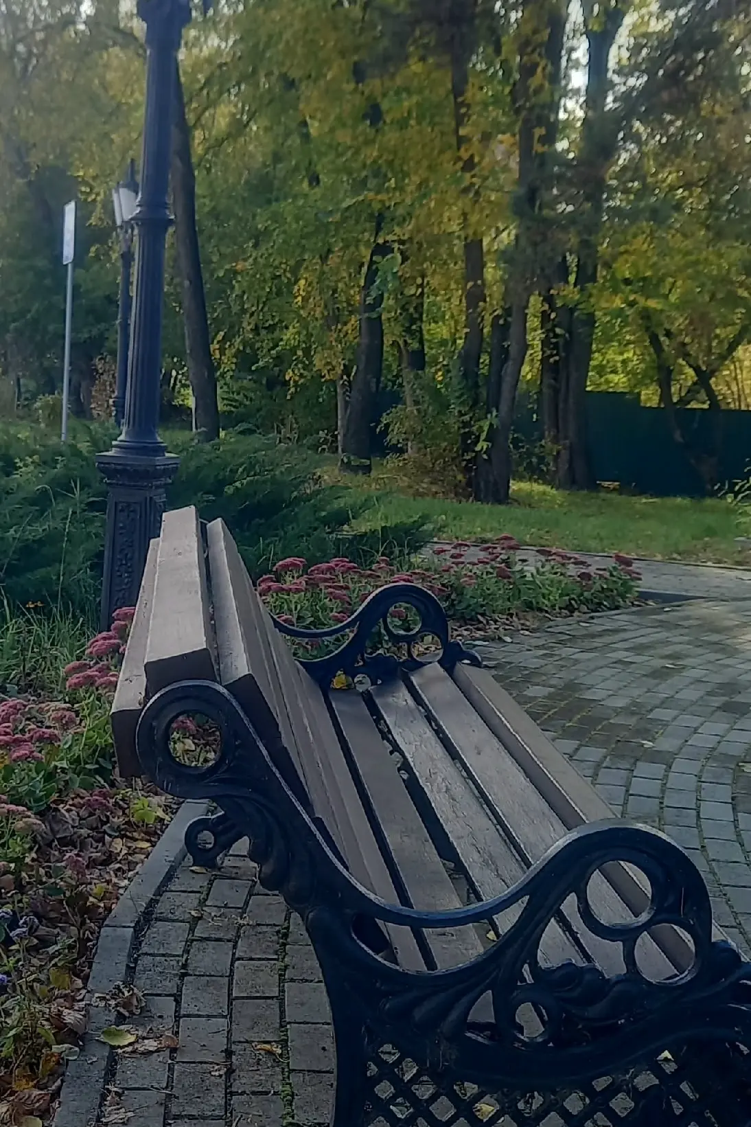 В городском саду 🍂