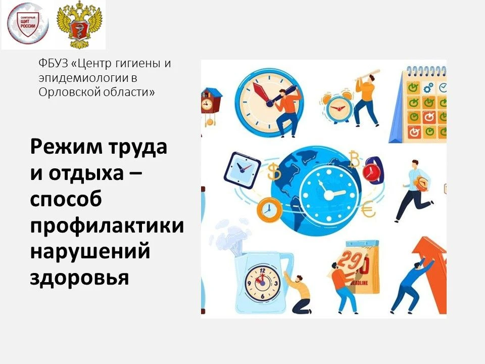 Труд – основа режима здоровой жизни человека. Существует неправильное мнение о вредном ...