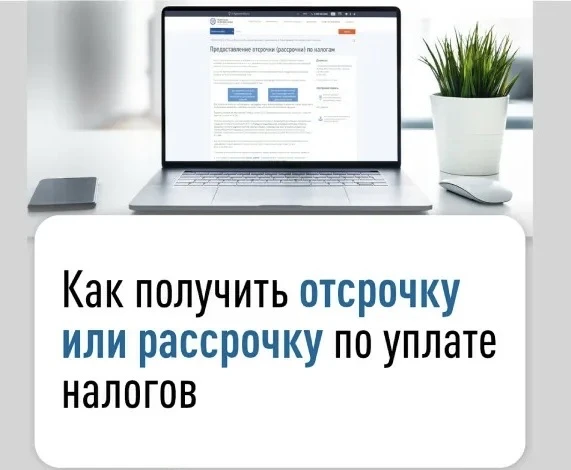 Налог заплатить нужно, а денег сейчас нет?  У НК РФ есть решение — рассрочка.