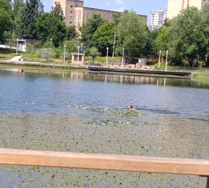 🥵 Такая жара, что даже на Травинском озере появился пловец.

@pushkino_official