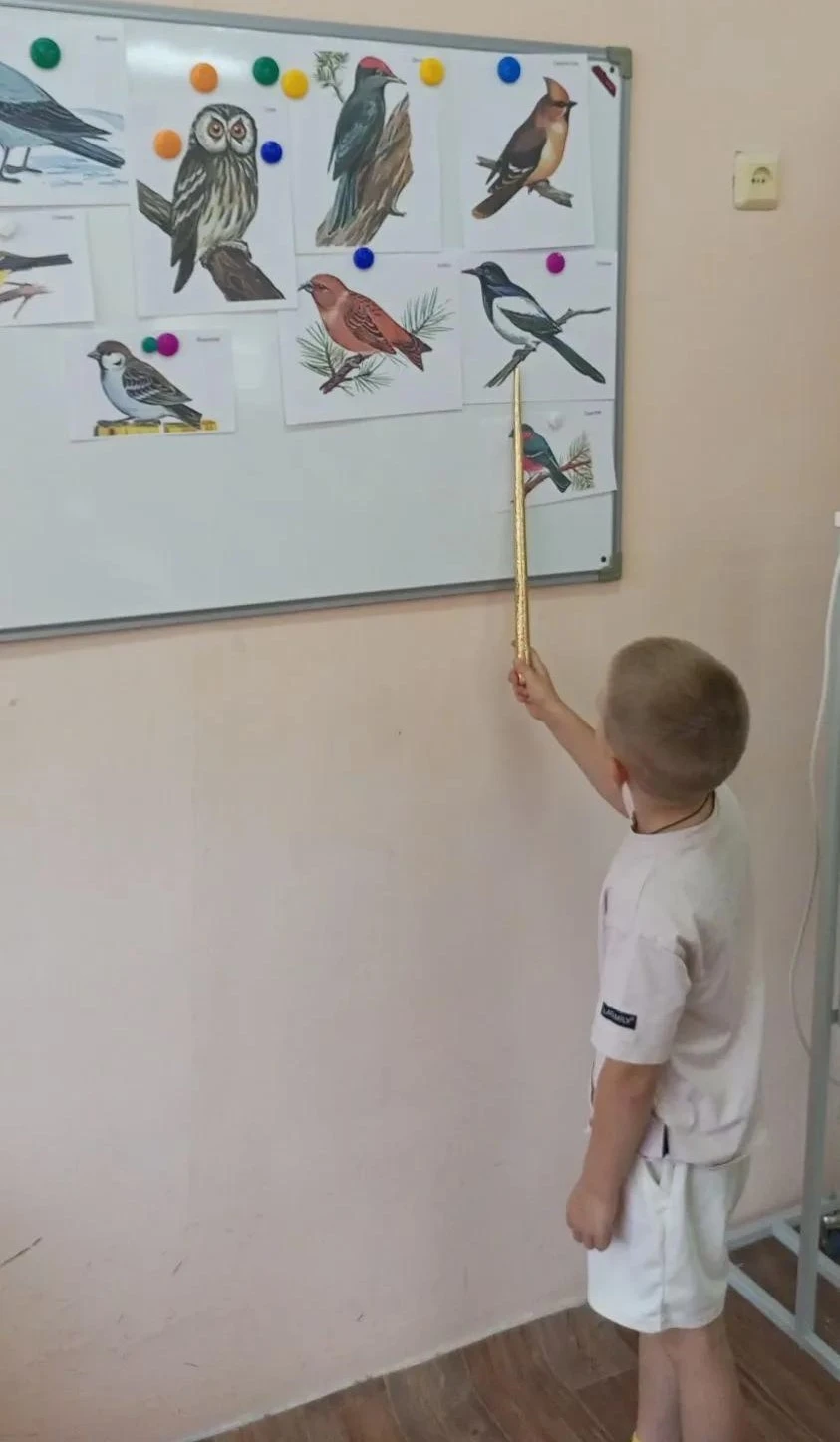 Утренняя беседа «Птицы нашего края»🕊️🐦‍⬛🦉