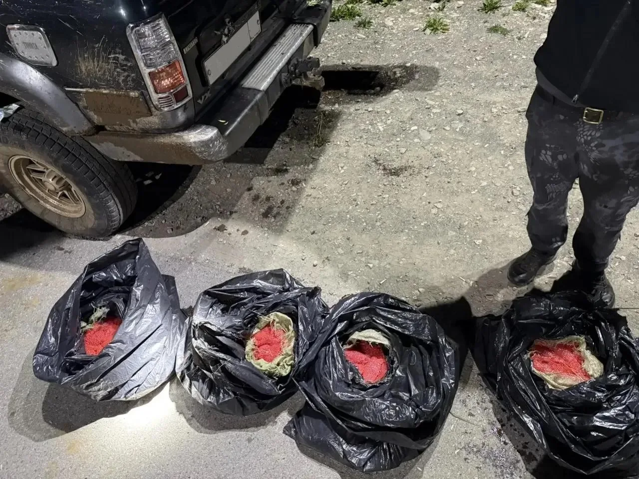 Более 450 кг красной икры изъято у браконьеров на Камчатке